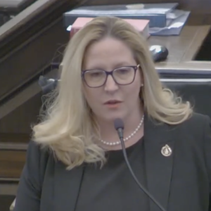 ANALYSIS: NHDems House Walkout Latest Example of Party’s Struggle With Gender Politics